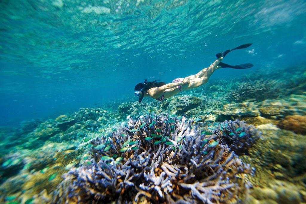 Mantaray Island Resort Nanuya Balavu Island Eksteriør billede
