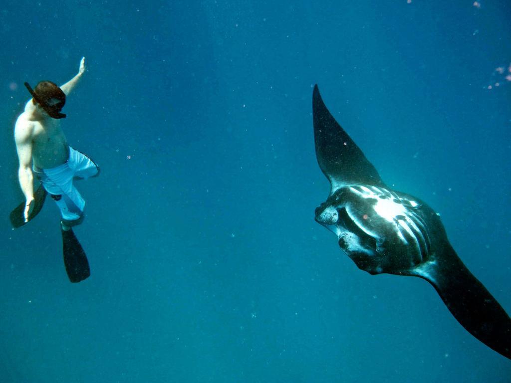 Mantaray Island Resort Nanuya Balavu Island Eksteriør billede